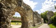 One of the Abbey Ruins arches