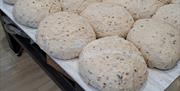 Sourdough loaves proving