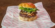 Beef burger with halloumi and lettuce