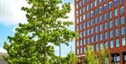 tower block from below with tree in foreground