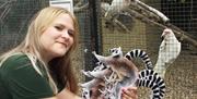 Park warden demonstrating toddler trail in front of bird cage