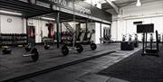 Gym equipment - weights and ropes