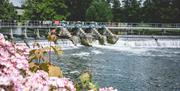 Mapledurham Weir in Spring
