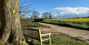 A resting stop along the St James' Way