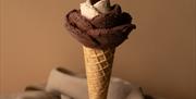 chocolate flavoured rose-shaped ice cream cone