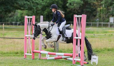 Girl riding a horse over a pink hurdle