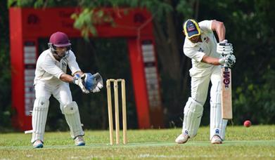 batsman and wicketkeeper in close up