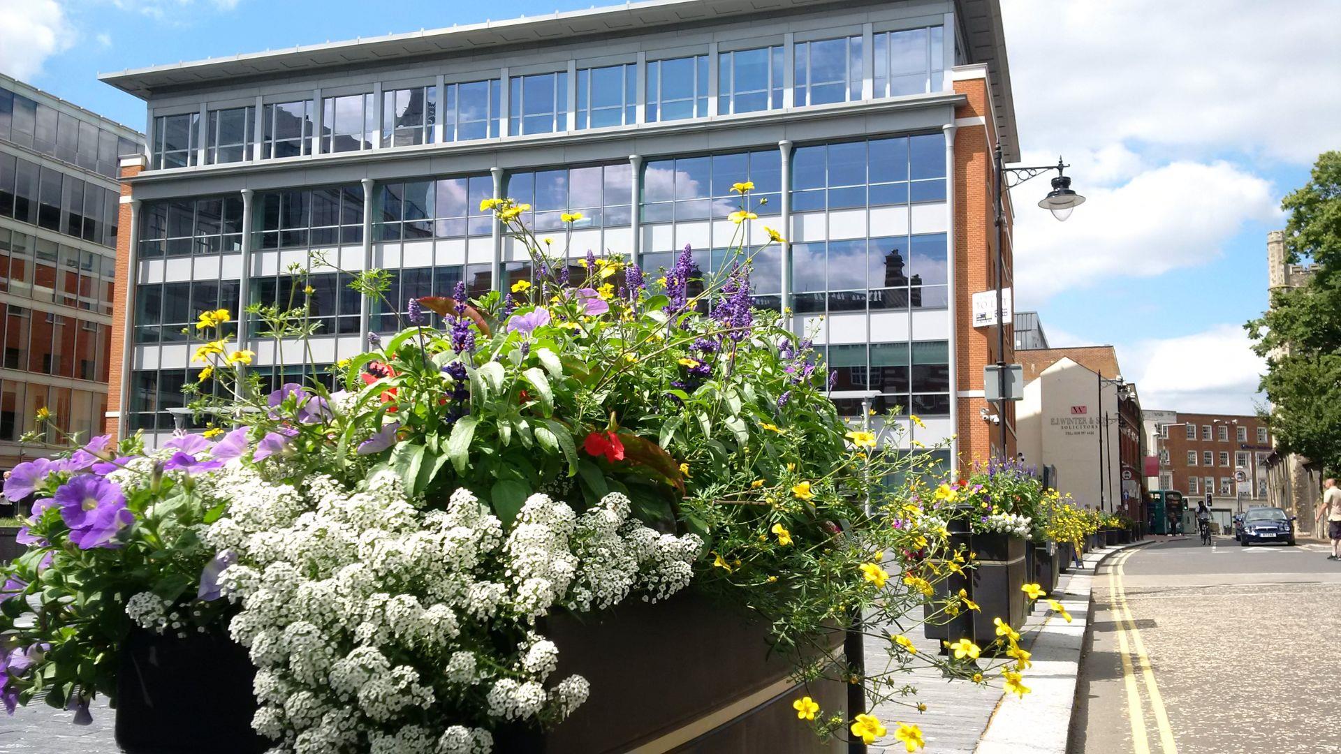 Floral display by Forbury Gardens in Reading's Abbey Quarter district