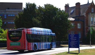 Climate Stripes Bus