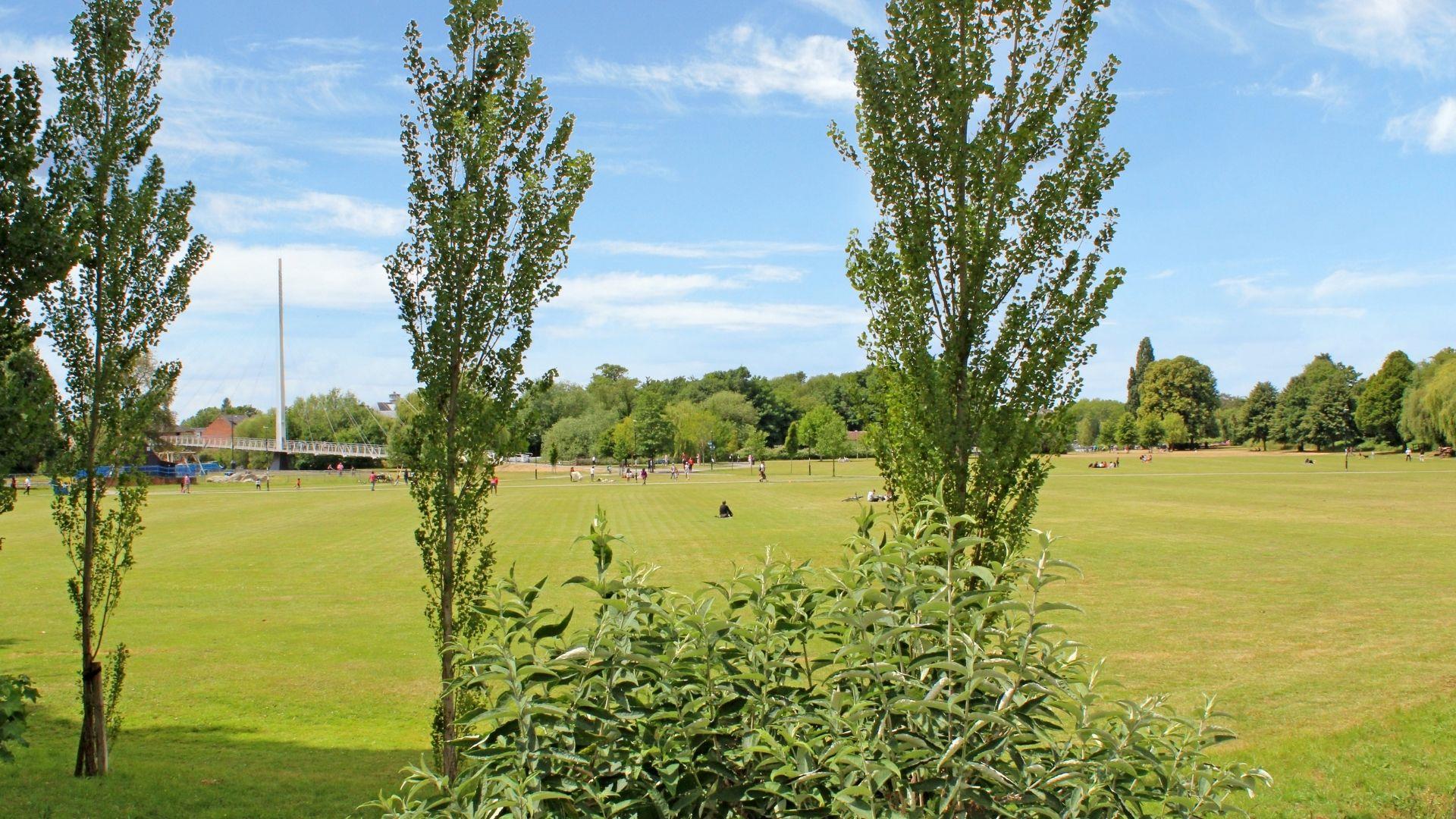 Trees at Christchurch Meadow