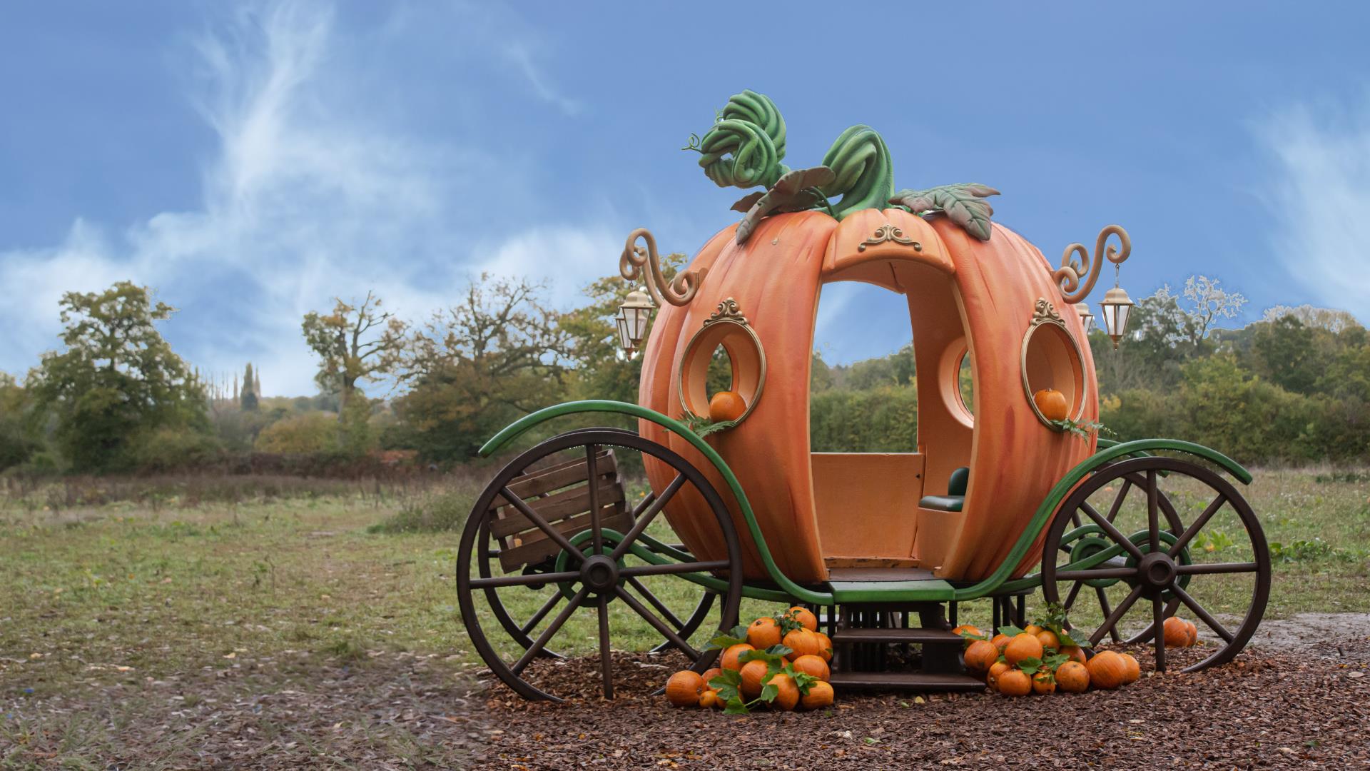 Pumpkin Picking at Wasing