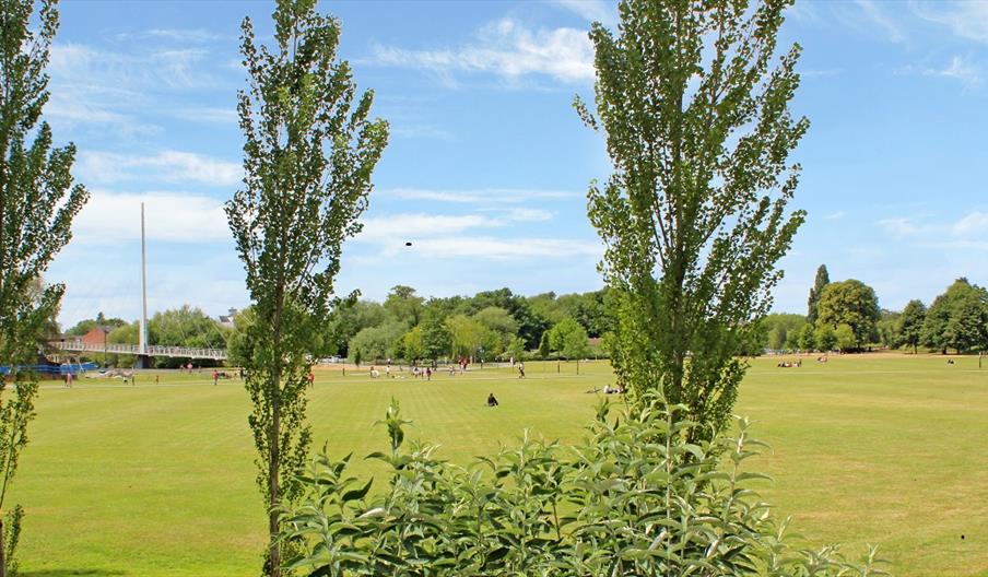 Trees, meadows and bridge in background