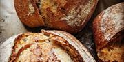 Bread