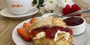 handmade scone with jam and cream along with a cup of tea. perfect morning or afternoon tea. flowers in background