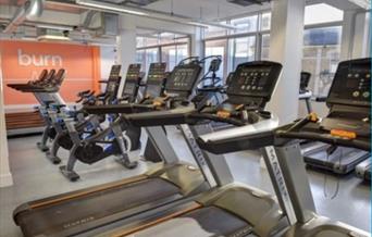 treadmills and other gym equipment