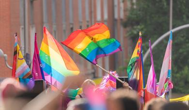 Pride flags being waved at an event.