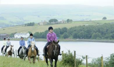 Dickey Steps Riding School