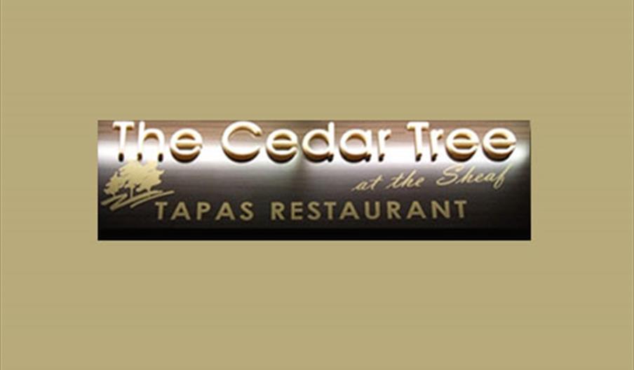 The Cedar Tree