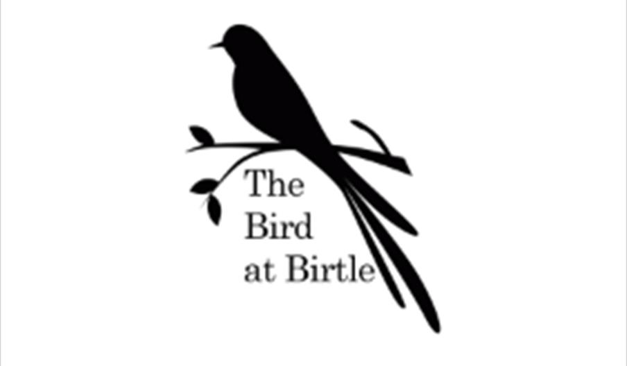 The Bird at Birtle