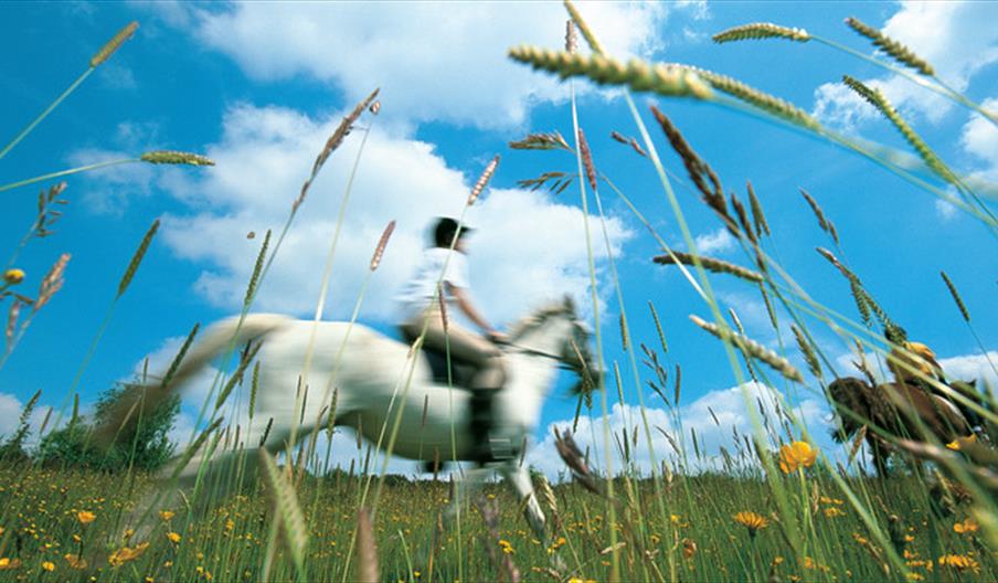 South Pennines - horse rides