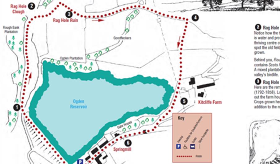 Map of the Kitcliffe Walk