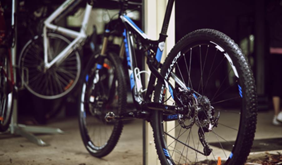 Mountain bikes parked in a garage.