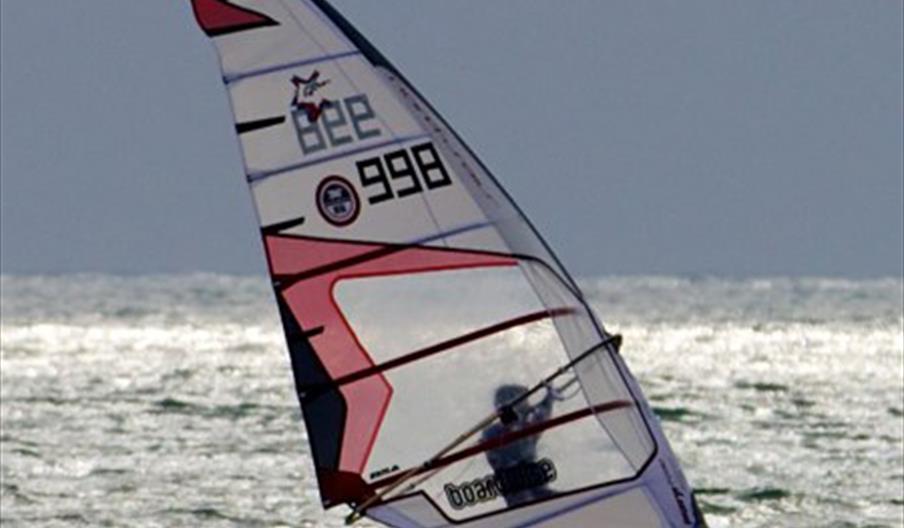 Windsurfer