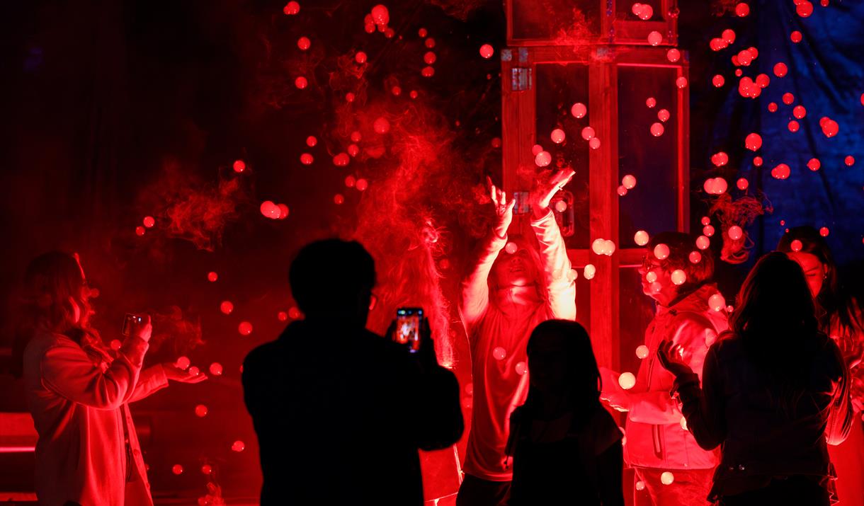 Image of people standing outside and enjoying the light display