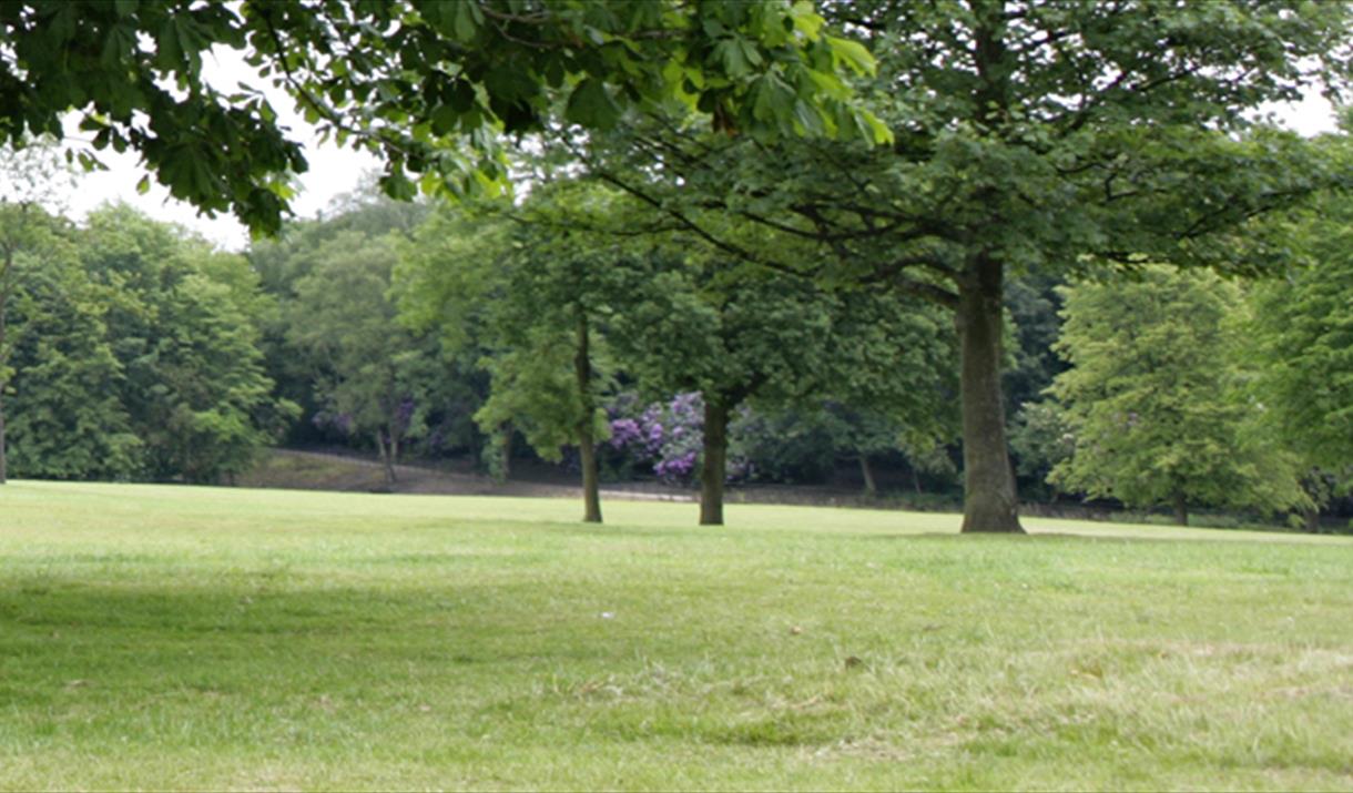 Hopwood Woods Nature Reserve