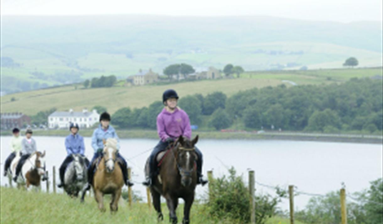 Dickey Steps Riding School