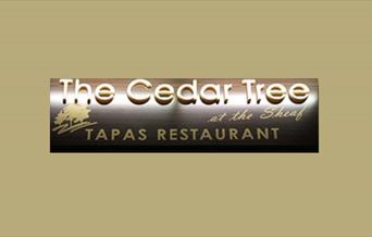 The Cedar Tree