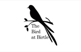 The Bird at Birtle