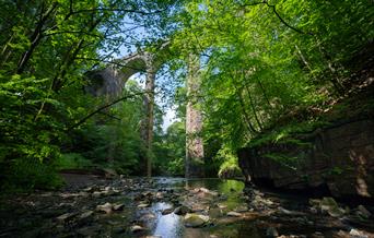 Aqueduct in a wooded clearing.