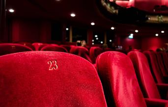 Red numbered seats at a theatre