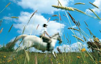 South Pennines - horse rides