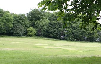 Gentle sloping hill side with trees in background.