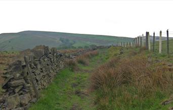 One of the footpaths in Piethorne Valley.