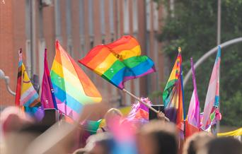Pride flags being waved at an event.