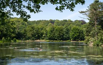 Lake at Queens Park.