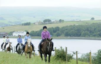 Dickey Steps Riding School