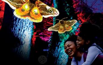 Parent and child examining illuminated butterfly sculptures, with logo reading, Wild Wanders.