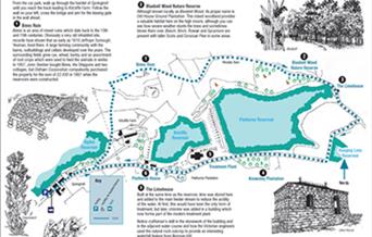 Map of the Bluebell Wood Walk.