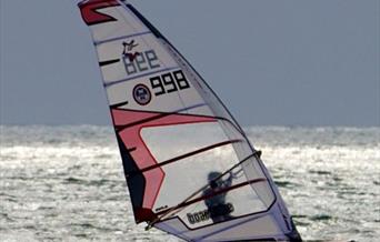 Windsurfer