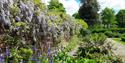 Lush flower beds at Denehurst Park.