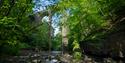 Aqueduct in a wooded clearing.