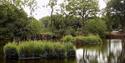 Pond at Alkrington Woods.