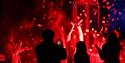 Image of people standing outside and enjoying the light display