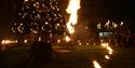 Flaming torches surrounding a tree-shaped  structure.