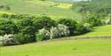 surrounding countryside of Fielden Farm