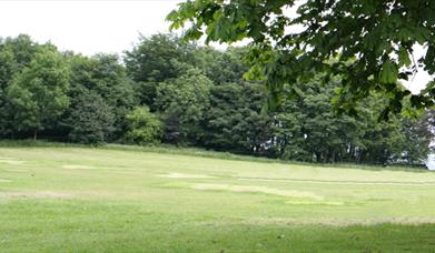 Gentle sloping hill side with trees in background.